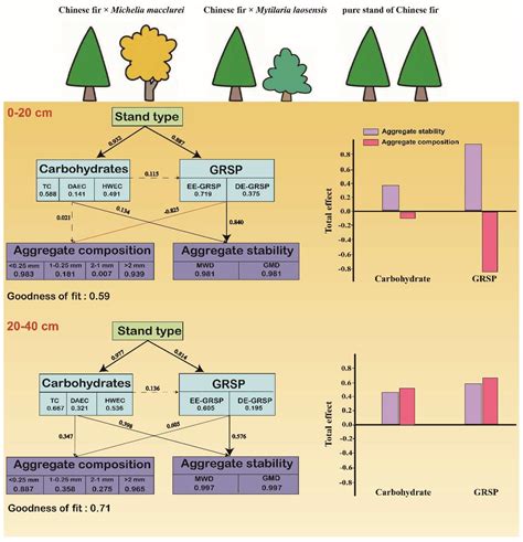 Soil Carbohydrates and Glomalin-Related Soil Proteins Affect Aggregate ...