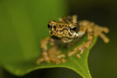 #YearEnd: Our Favourite Stories Of 2020 | Nature inFocus