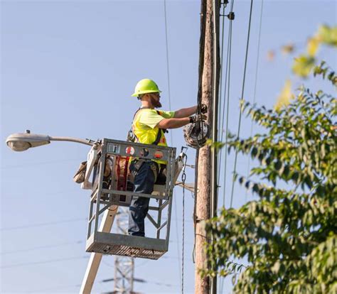 Davey Tree Service 的图像结果