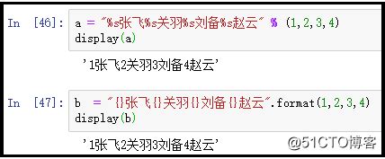 Return Format Python 的图像结果