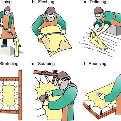 Image result for Parchment Making