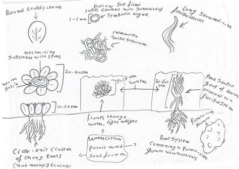 Image result for Alien Plants in Seed Woman