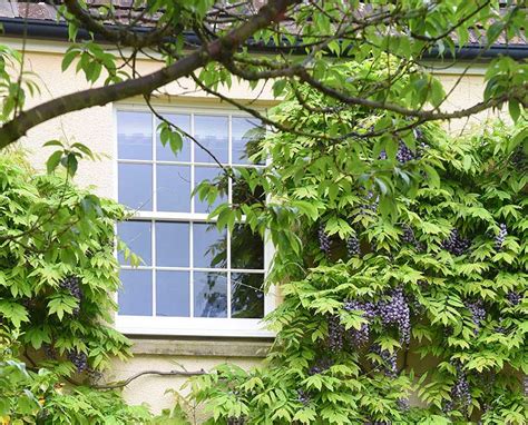 Image result for Timber Sash Windows