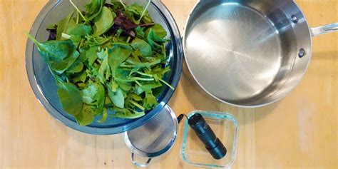 Image result for Vampire Science