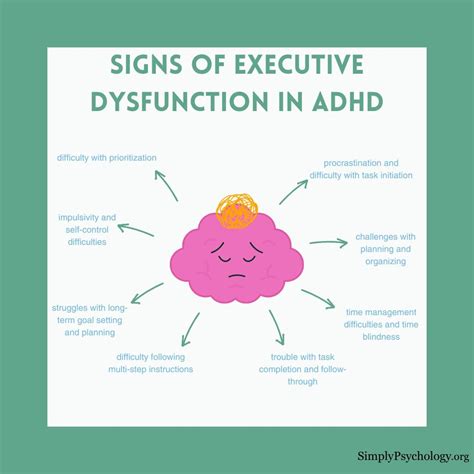 Adhd And Executive Function Disorder – LLLYFS