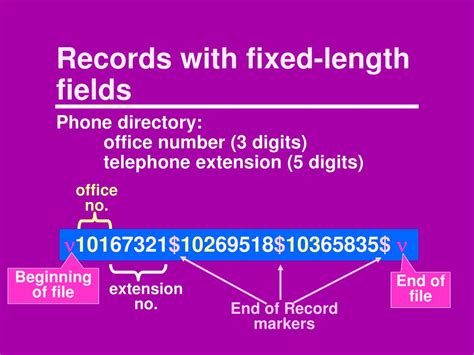 Image result for Database File Structure