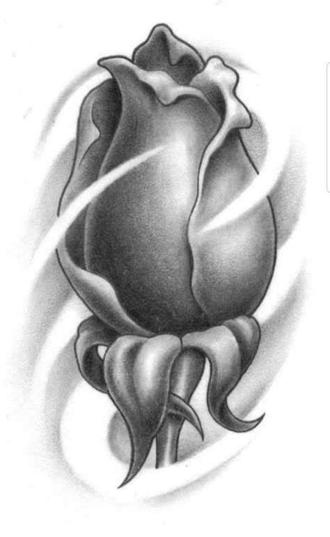 unbloomed rose drawing
