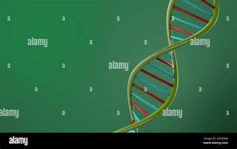 Image result for DNA Structure Animation