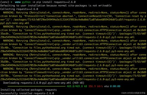 Install Venv Python 的图像结果
