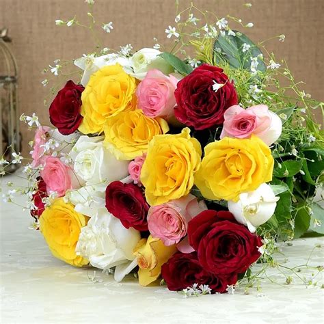 Order Shades Of Mix Roses Online online | Get same day delivery PAN ...