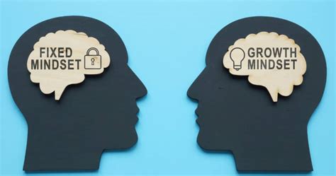 Fixed Mindset Examples 的图像结果