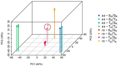 Maritime Pine Rootstock Genotype Modulates Gene Expression Associated ...