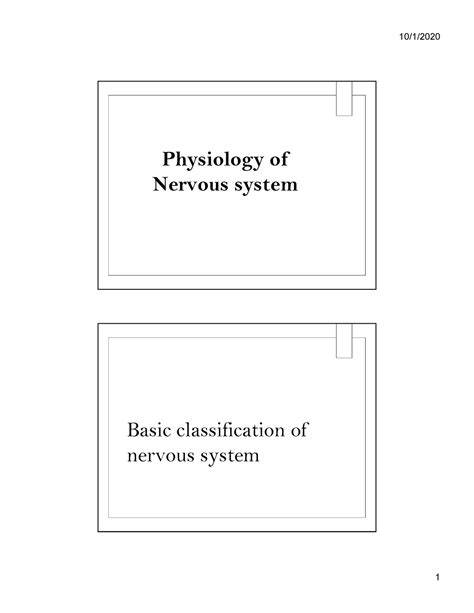 Nervous-sytem - class notes - Physiology of Nervous system Basic classification of nervous ...