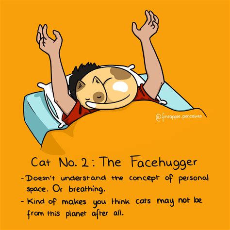 meow_irl | Facehugger, Cats, Real life