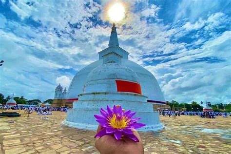 PEARL SEEKER TOURS (2025) All You Need to Know BEFORE You Go (with ...