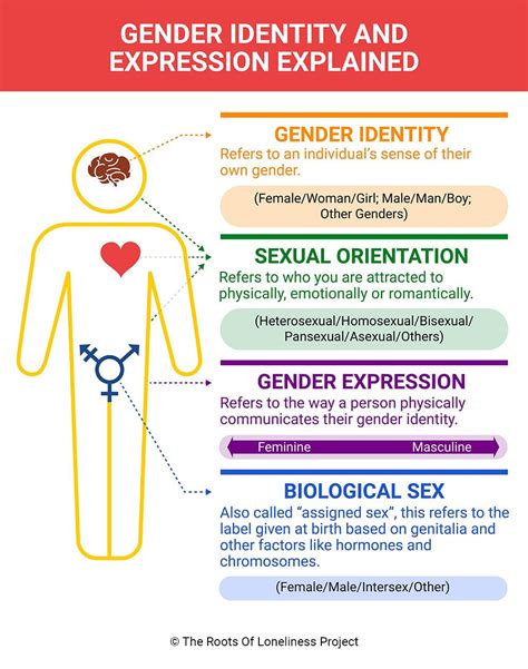 Image result for Explaining Gender Identity