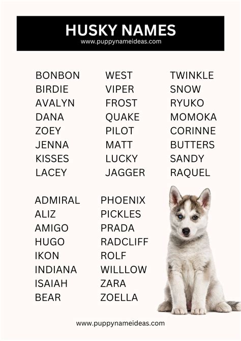 390+ Husky Names (With Meanings)