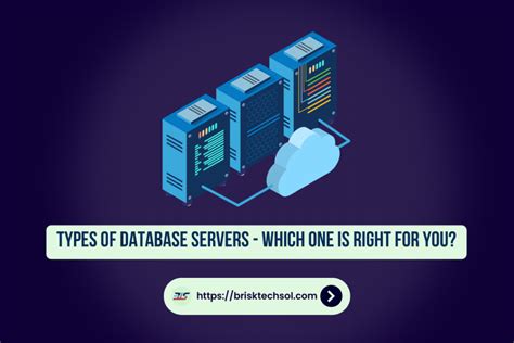 Database Server Types 的图像结果