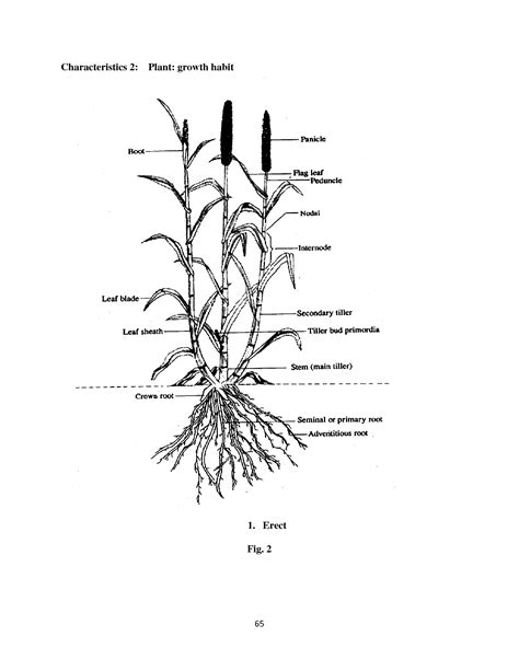 Fourth Issue - 5 June, 2018 (Vol.12 No.04) | Official website of ...