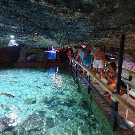 AQUARIUM CAP BLANC (2026) All You Need to Know BEFORE You Go (with ...