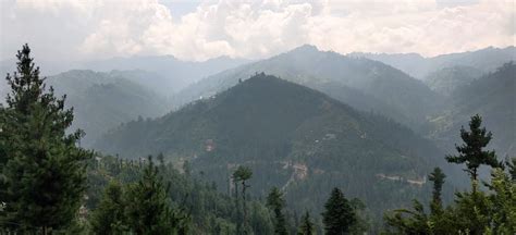 Tandi Village, Jibhi | Traditional Crafts & Sustainable Living