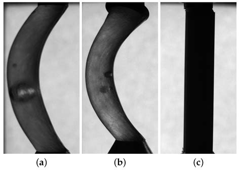 Stability and Rupture of Liquid Crystal Bridges under Microgravity