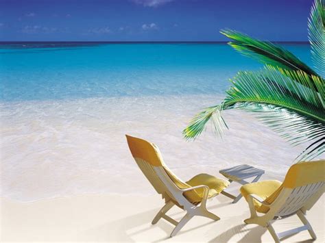 Bing Summer Beach Wallpaper 的图像结果