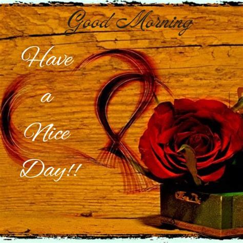 Good Morning Have a Nice Day Images with Flowers: A Fresh Start to Your Day