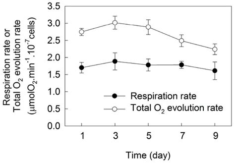 Changes of Photosynthetic Behaviors and Photoprotection during Cell ...