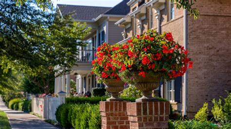 Development Land 的图像结果