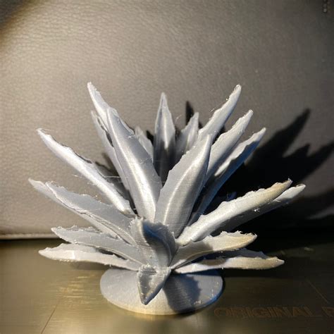 Agave Plant - (Tequila!) by Dan10105 | Download free STL model ...