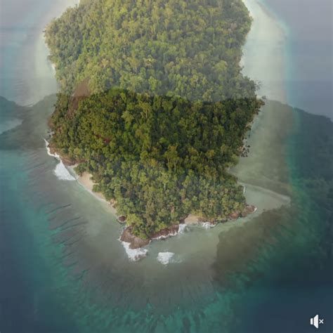 Japan's 'Naked Hermit', Who Spent 29 Years Alone On A Tropical Island ...