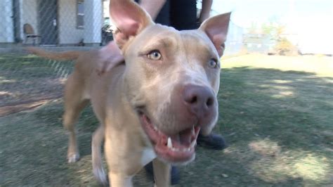 Oklahoma lawmakers propose raise in minimum wage