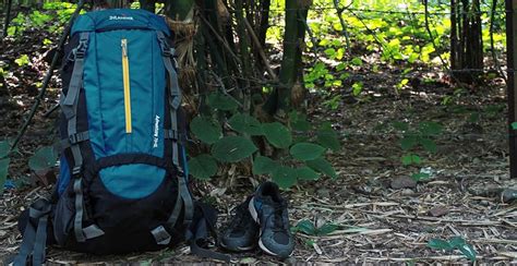 Buy Inlander 70 Ltrs Teal Blue Rucksack (A2ZIL1009TBBP) at Amazon.in