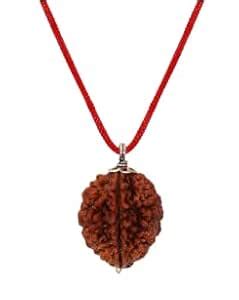 Rare Gems Gallery Natural 2 Mukhi Rudraksha Nepal Very Rare Bead Nepal ...