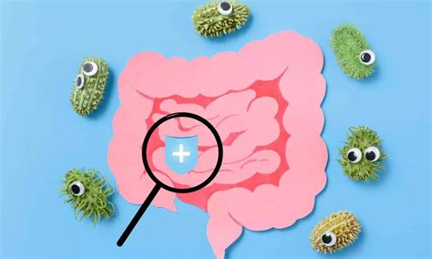 Feeding good gut bacteria through fiber in diet may boost body against ...