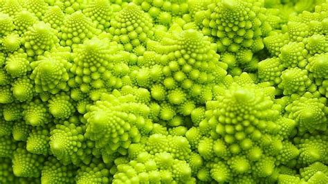 Generative Art: Dive Deeper and Add Complexity with Recursion