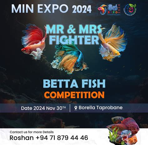 Mr & Mrs fighters 2024, The Taprobane, Colombo, 30 November 2024 ...