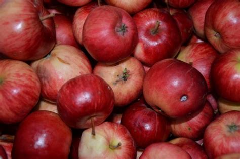 Image result for How Many Types of Full Stack Developer