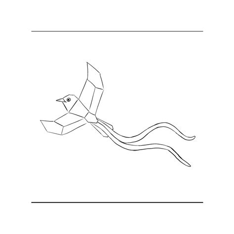 D'source Case Study - Slide Show | Indian Paradise Flycatcher | D ...