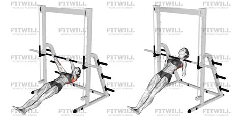 Image result for Inverted Row Workout