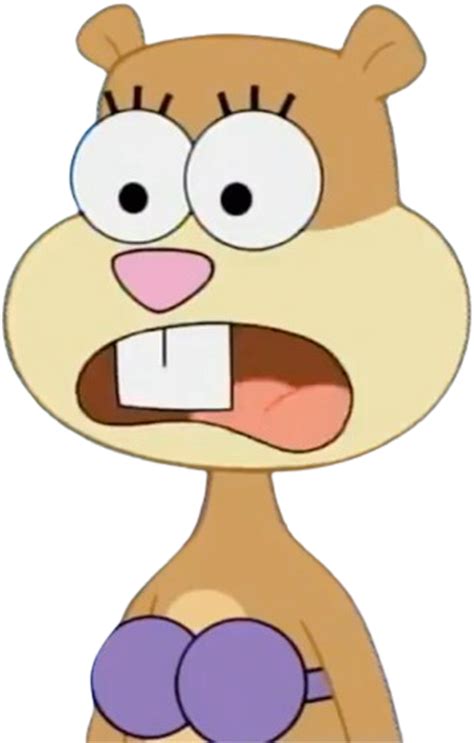 Image result for Sandy Cheeks Sad