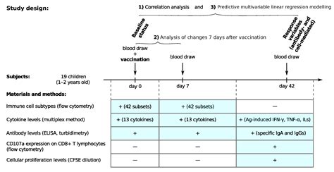 Rubella Virus Igg Ab