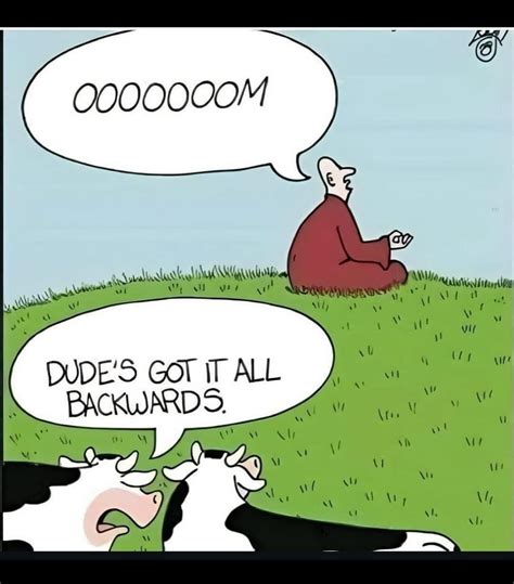 Wicked Wicked Reptiles Ball Python 的图像结果