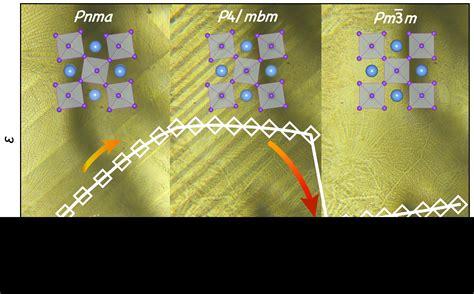 Dynamics of Ferroelastic Domain Walls Associated with the Dielectric ...
