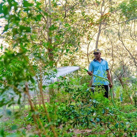 ANANDABANA - Discover