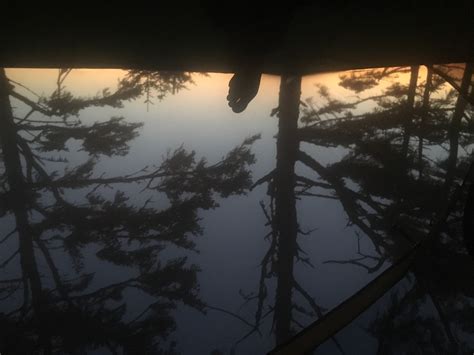 My view from a Tentsile tent on Floras lake, Oregon : CampingandHiking