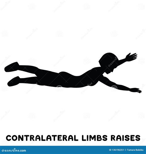 Image result for Contralateral Exercise Examples