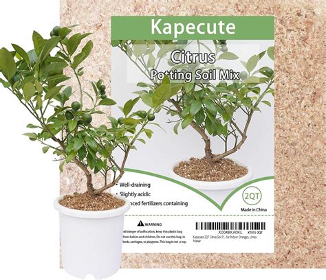 Amazon.com : Kapecute 2QT Citrus Soil Potting Mix for Lemon Tree ...