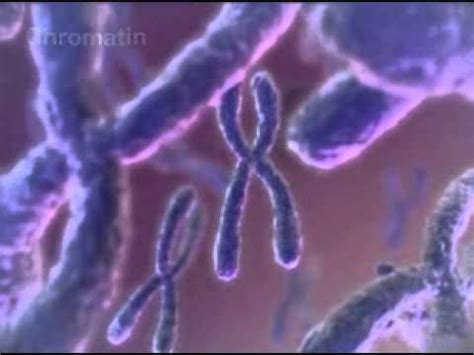 Image result for Blender Cell Animation Tutorial YouTube